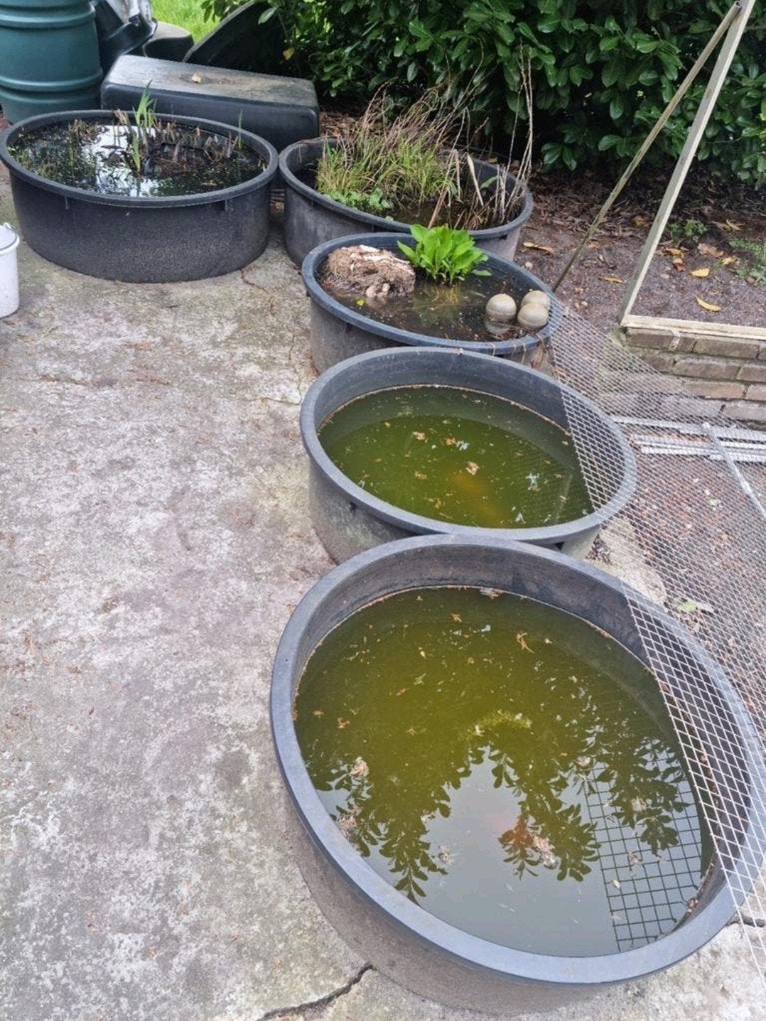 Vijverkuipen fonteinkuip waterornament vijver vijvers kuip, Tuin en Terras, Ophalen, Zo goed als nieuw