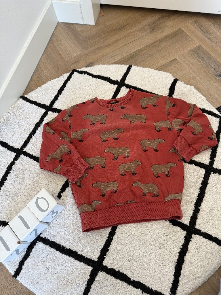 Goed roestbruin CarlijnQ Capibara sweater trui print 110 116, Gebruikt, Jongen of Meisje, Trui of Vest, Ophalen of Verzenden