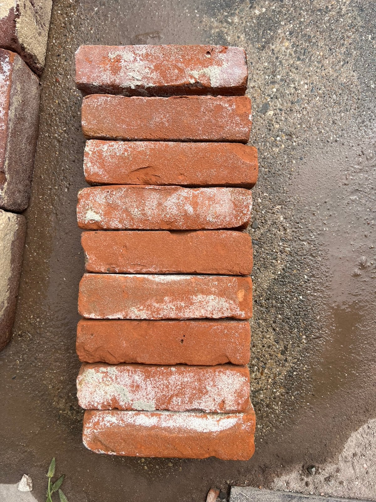 Oude oranje vormbak metselstenen gebikt 22 x 5.5 300M2, Ophalen of Verzenden, Zo goed als nieuw, Bakstenen