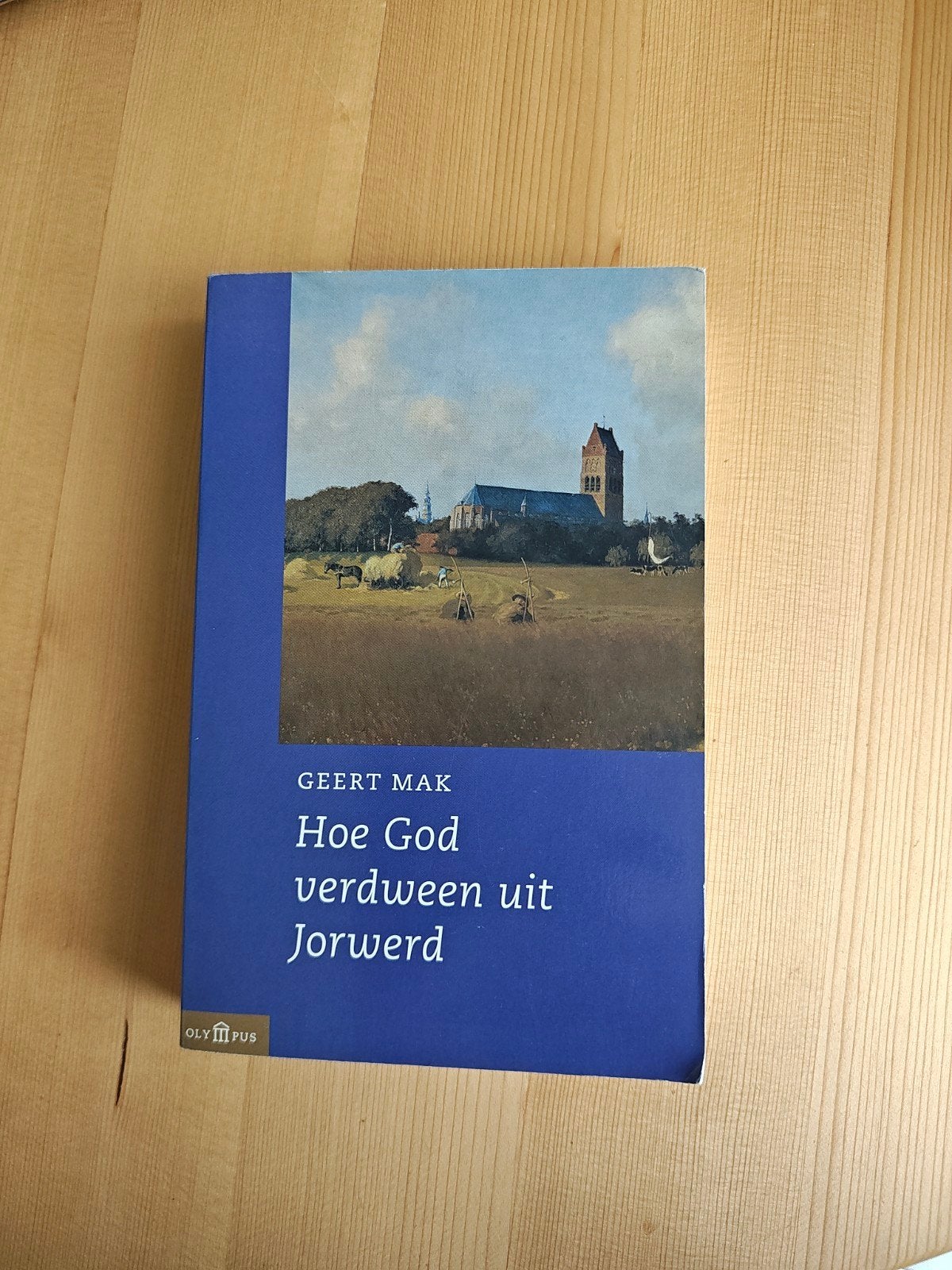 Geert Mak - Hoe God verdween uit Jorwerd, Ophalen of Verzenden, Zo goed als nieuw, Geert Mak