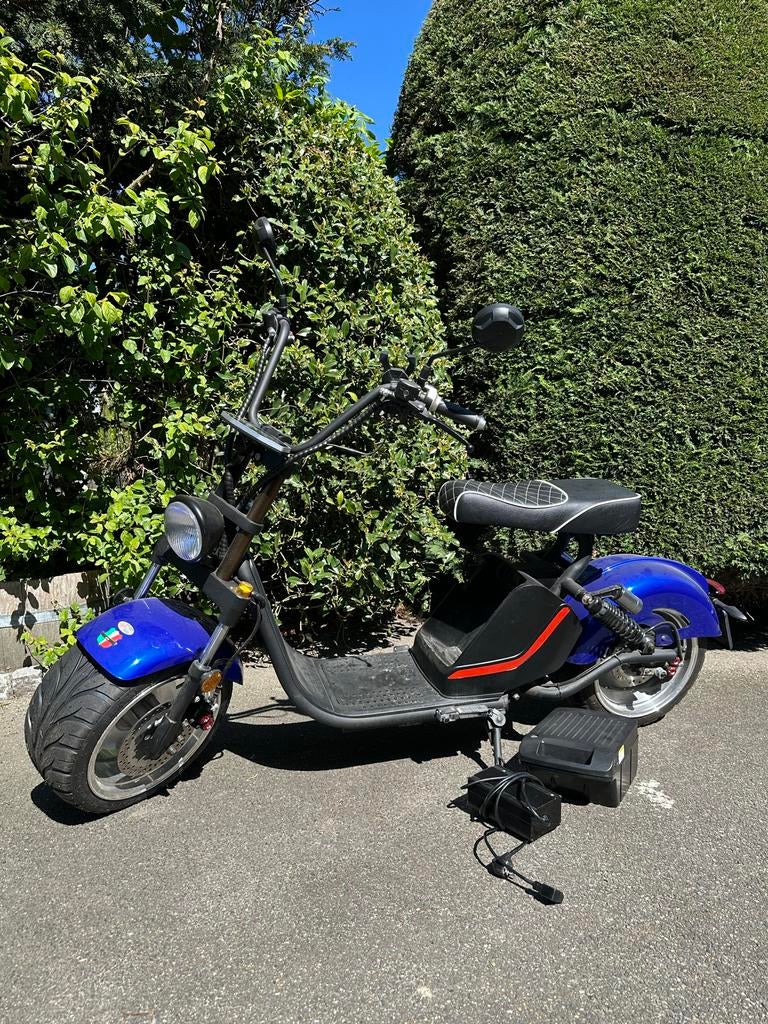 E-chopper GTS 2-zits - voor handige klusser, Fietsen en Brommers, Ophalen, Gebruikt, Elektrisch, Overige merken