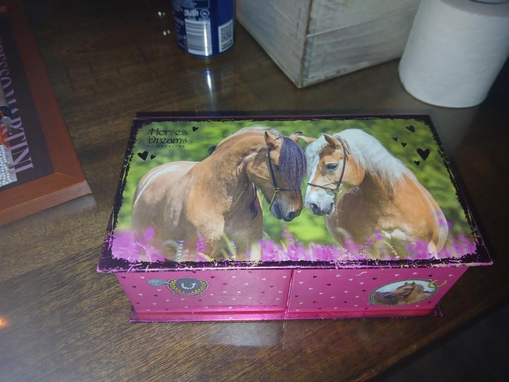 Splinternieuwe sieraden doos voor een paarden meisje, Ophalen of Verzenden