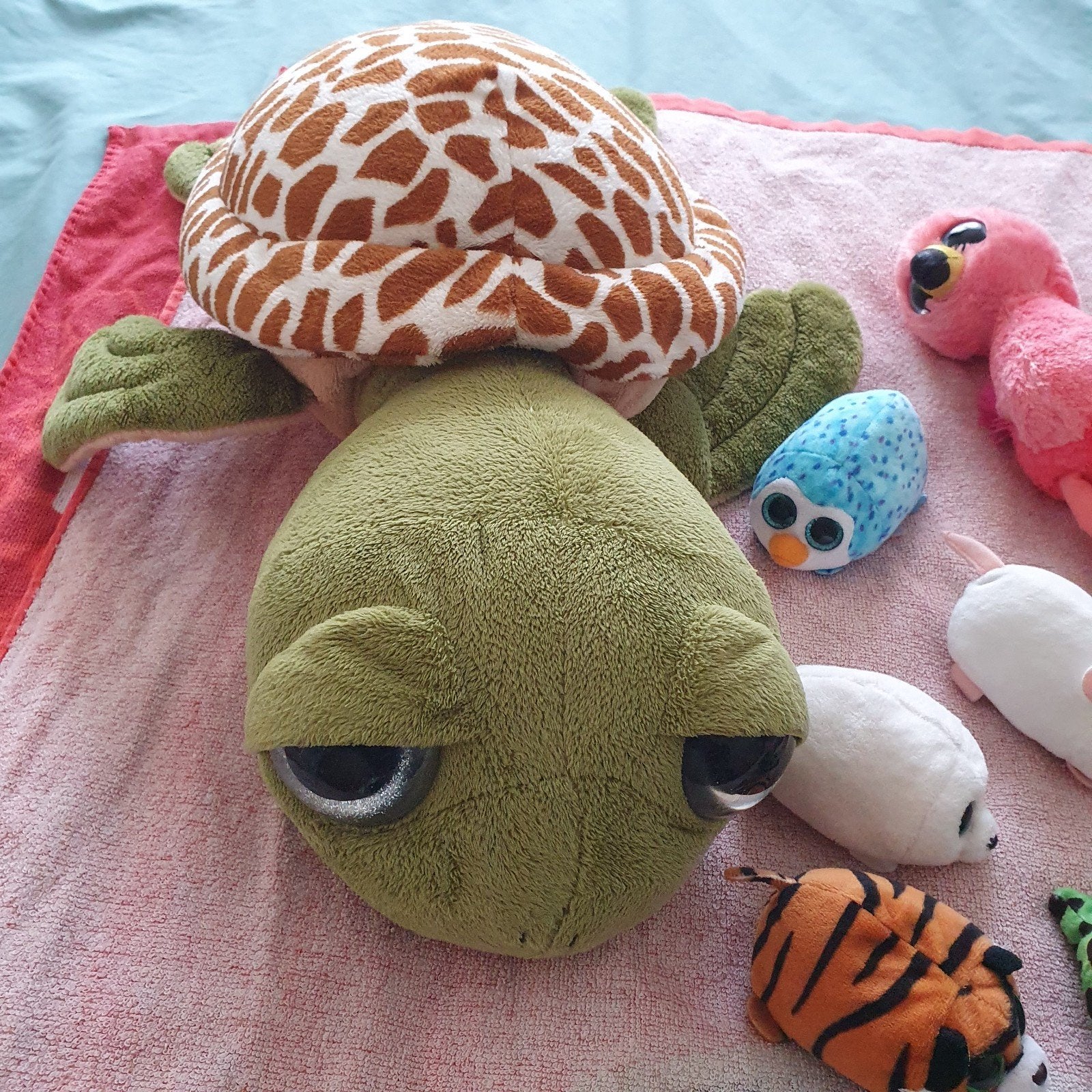 Ty Beanies en grote Wildlands schildpad, Ophalen, Gebruikt, Overige typen, Middelgroot (20 tot 80 cm)