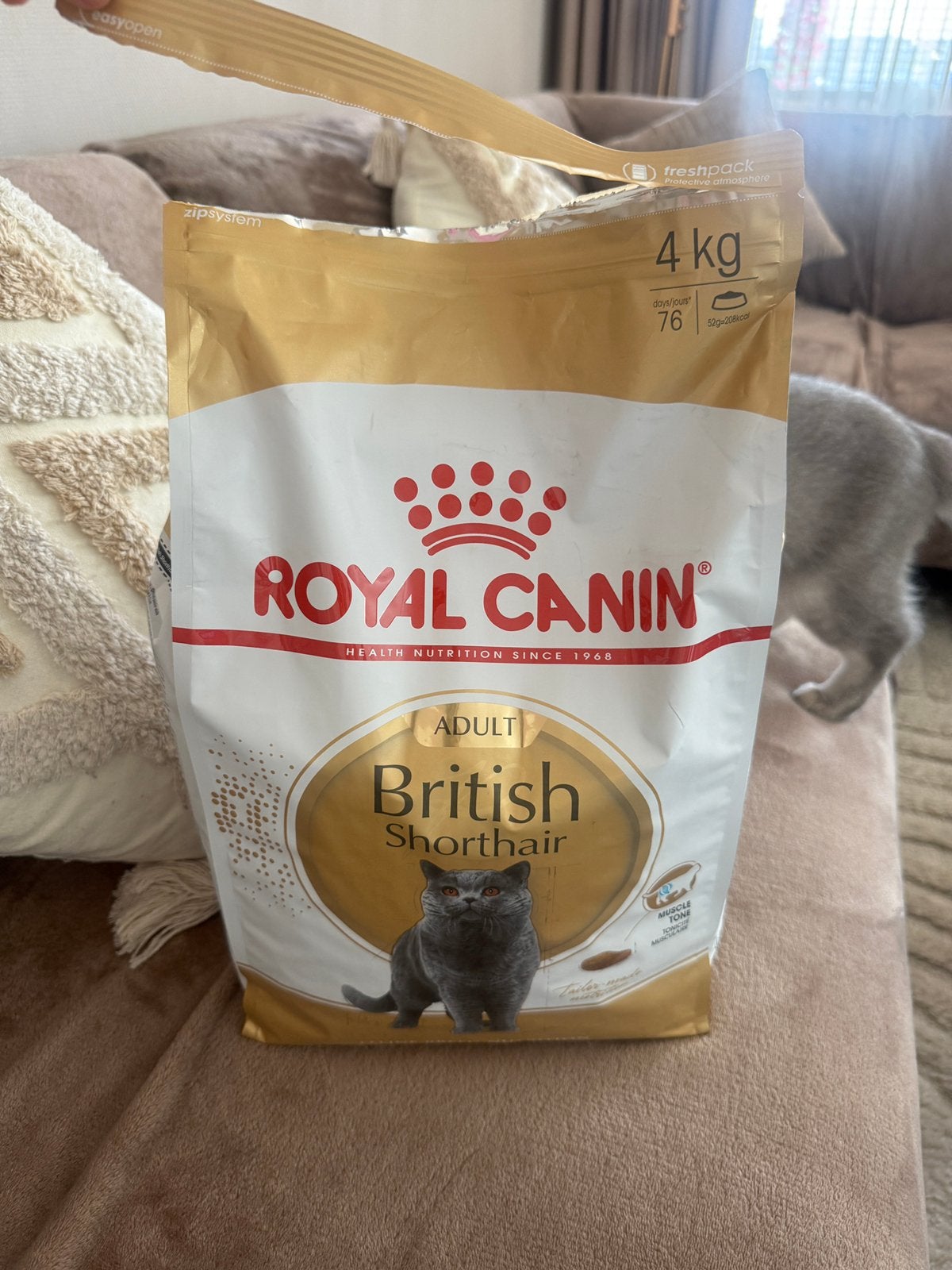 Royal Canin British shorthair, Ophalen of Verzenden, Kat