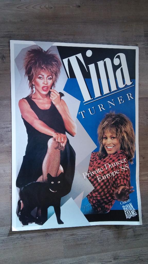 Tina Turner Private Dancer tour poster vintage artiest pop, Verzenden, Gebruikt, Poster, Artwork of Schilderij