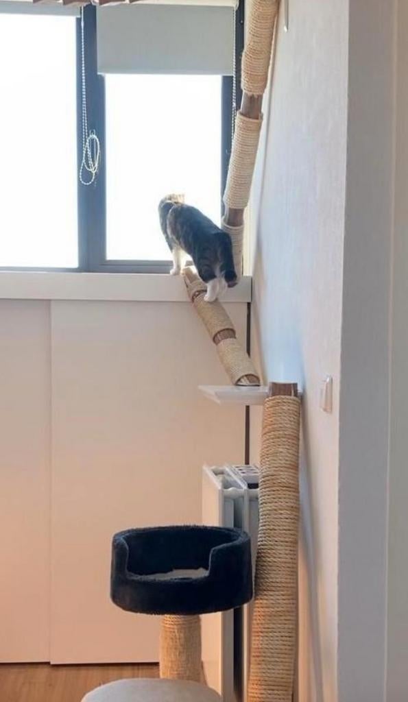 NIEUW Sisal touw totaal 57 meter, 10 mm dik om te krabben, Dieren en Toebehoren, Krabmeubelen, Nieuw, Ophalen