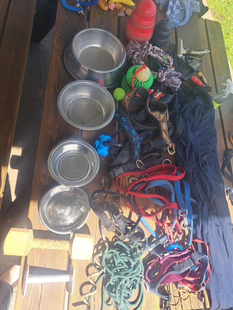 Diverse hondenspullen, Dieren en Toebehoren, Honden-accessoires, Ophalen