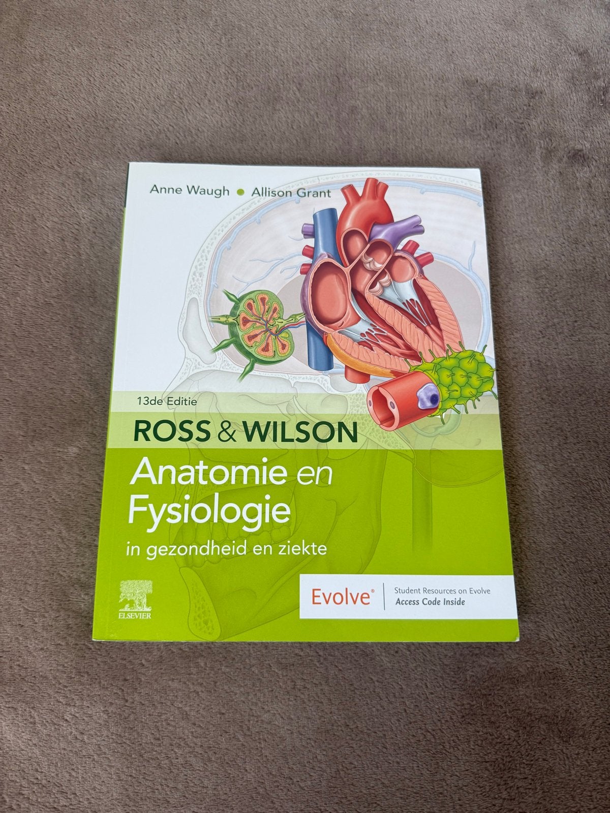 Ross & Wilson Anatomie en Fysiologie 13e editie, Boeken, Ophalen of Verzenden, Beta, Zo goed als nieuw, HBO