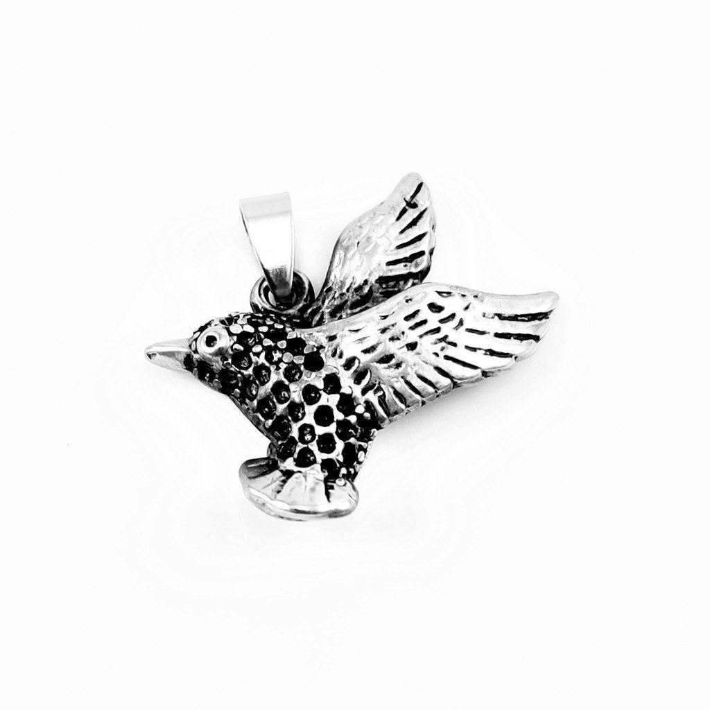 Roestvrij Stalen Kolibrie Hanger Zwarte Strass Dames - Heren, Overige materialen, Birgitta-Gracht 33, 6465 EL Kerkrade, Nederland