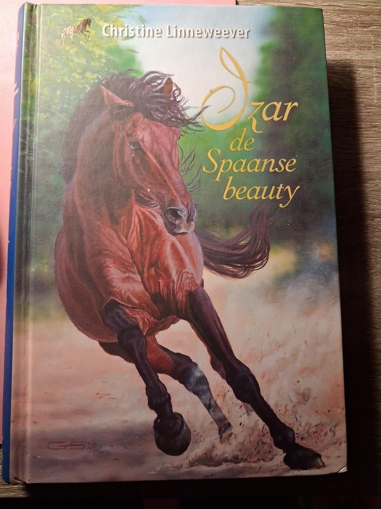 Boek Christine Linneweever, Boeken, Ophalen, Zo goed als nieuw, Christine Linneweever, Fictie