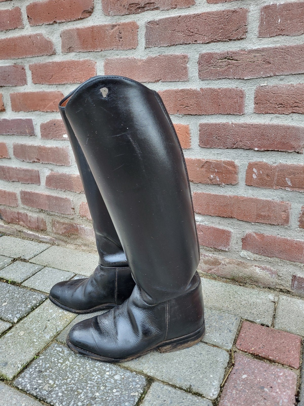Petri dressuur laarzen maat 4 / maat 37, Ophalen of Verzenden, Dressuur, Schoeisel