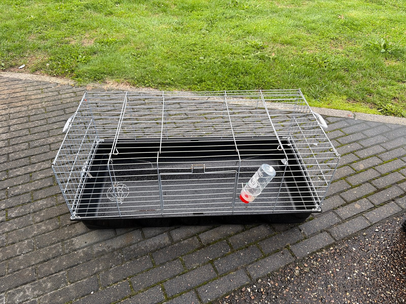 Cavia kooi, Ophalen of Verzenden