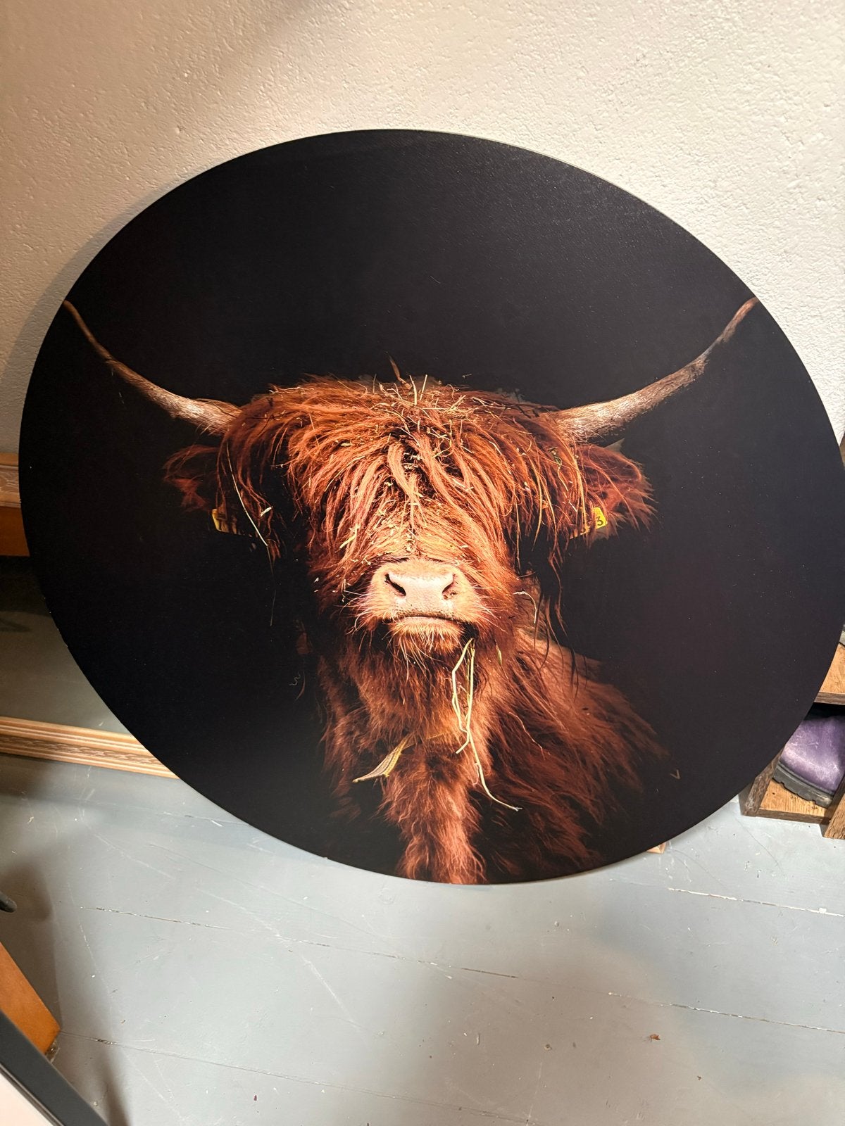 Ronde wanddecoratie Schotse Hooglander, Antiek en Kunst, Ophangklaar, Hout, Ophalen of Verzenden, Dieren