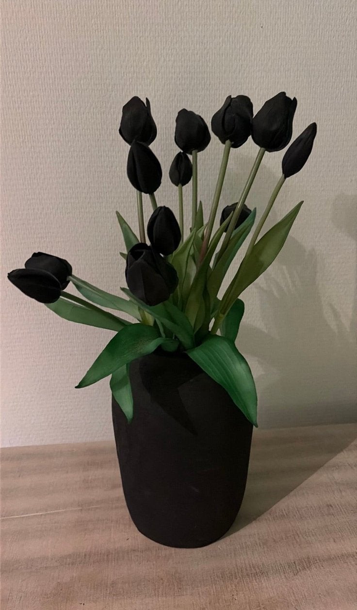 Sobere/landelijke decoratie, Ophalen, Zo goed als nieuw