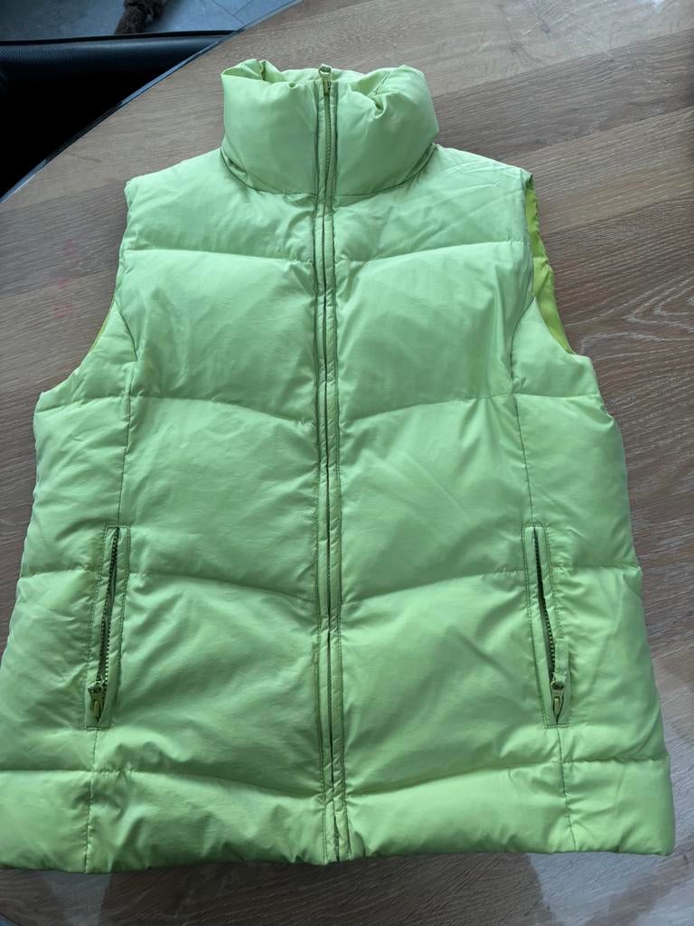 Bodywarmer limegroen maat L HEMA nette staat, Kleding | Dames, Bodywarmers, Ophalen of Verzenden, Zo goed als nieuw, Maat 42/44 (L)