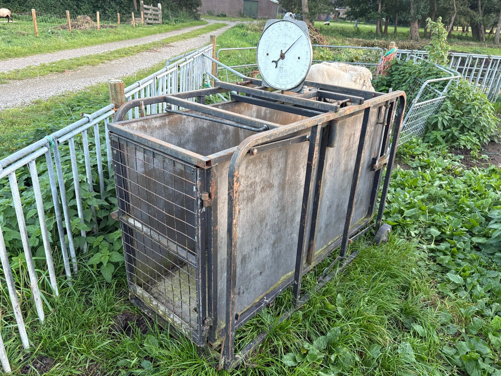 Grote weegschaal voor schapen of biggen (defect), Dieren en Toebehoren