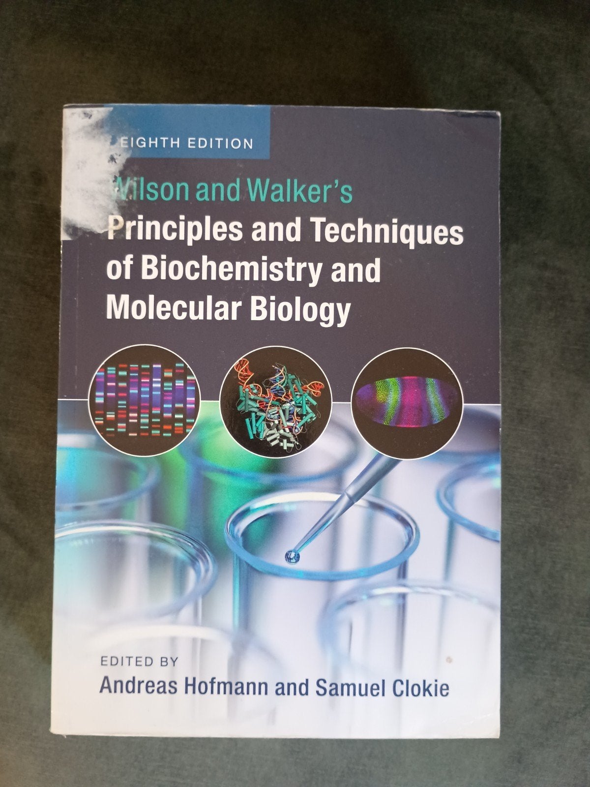 Wilson and Walker's Principles and techniques of biochemistr, Ophalen of Verzenden, WO, Zo goed als nieuw, Andreas Hofmann and Samuel Clokie