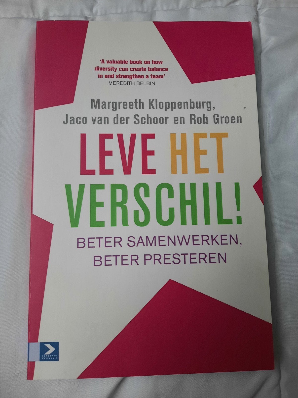 Leve het Verschil! Beter Samenwerken, Beter Presteren, Boeken, Zo goed als nieuw, Gamma, Margreeth Kloppenburg, Jaco van der Schoor en Rob Groen