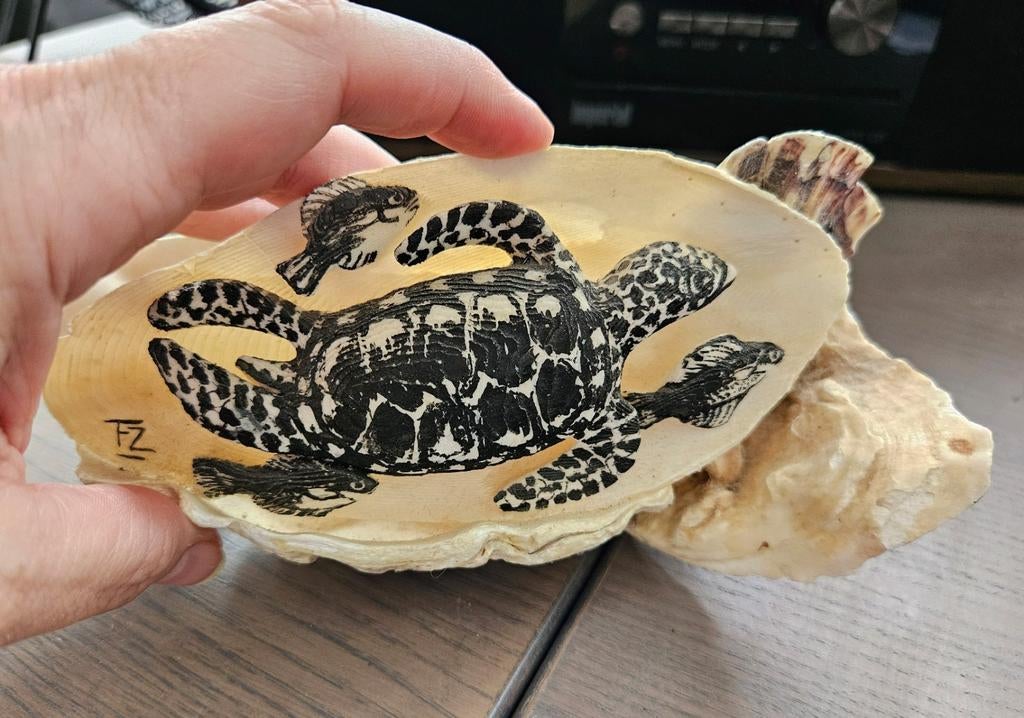 Handgemaakt tafereel zeeschildpad en visjes, sepia en schelp, Ophalen