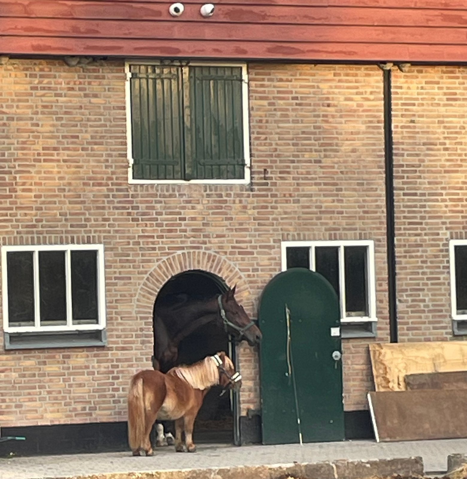 Aangeboden: Stalling paard in Slootdorp in eigen beheer, Dieren en Toebehoren, Stalling, 1 paard of pony