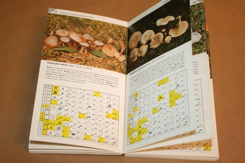 Paddestoelen in een oogopslag. U. Nonis., Boeken, Ophalen of Verzenden, Gelezen