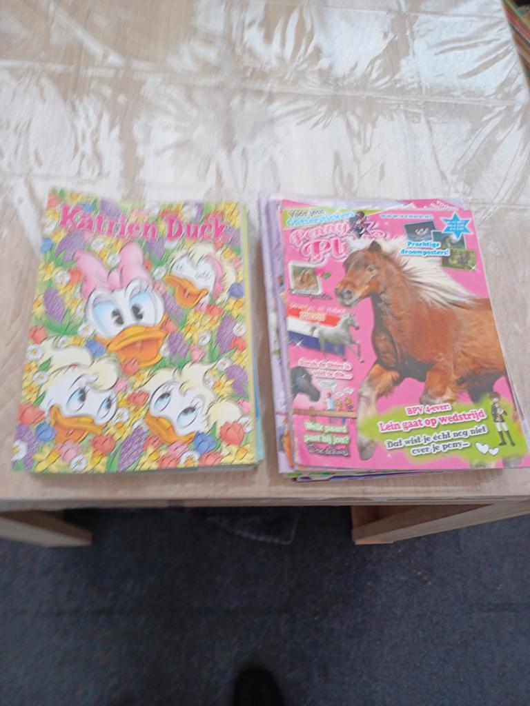 Katrien duck en penny, Ophalen of Verzenden, Gelezen, Overige typen