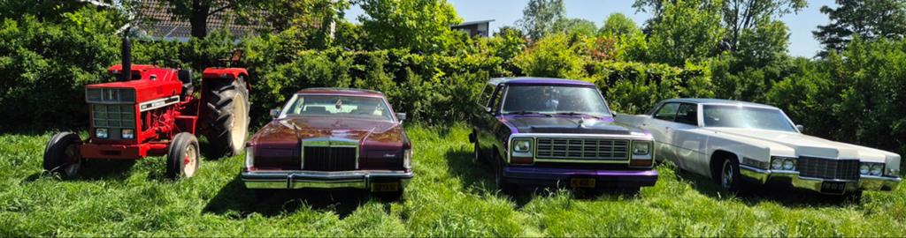Te koop diverse oldtimers, Ophalen