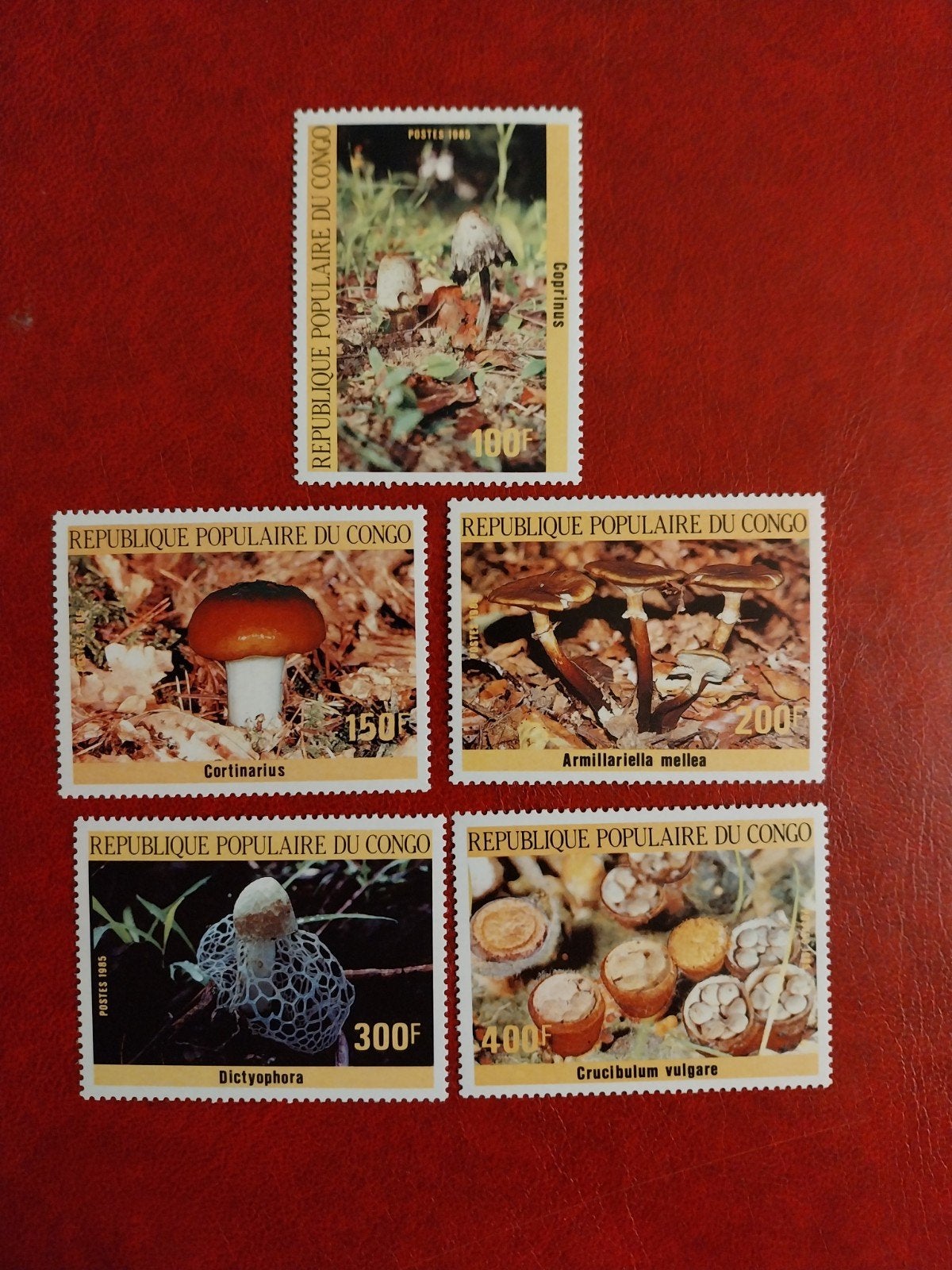 F Congo 1016-1020 paddestoelen 1985 postfris mi 18 euro, Ophalen of Verzenden, Dier of Natuur