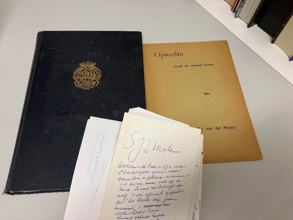 Opsterlan Skiednis fan in Waldgritenij, Boeken, Ophalen of Verzenden, Gelezen