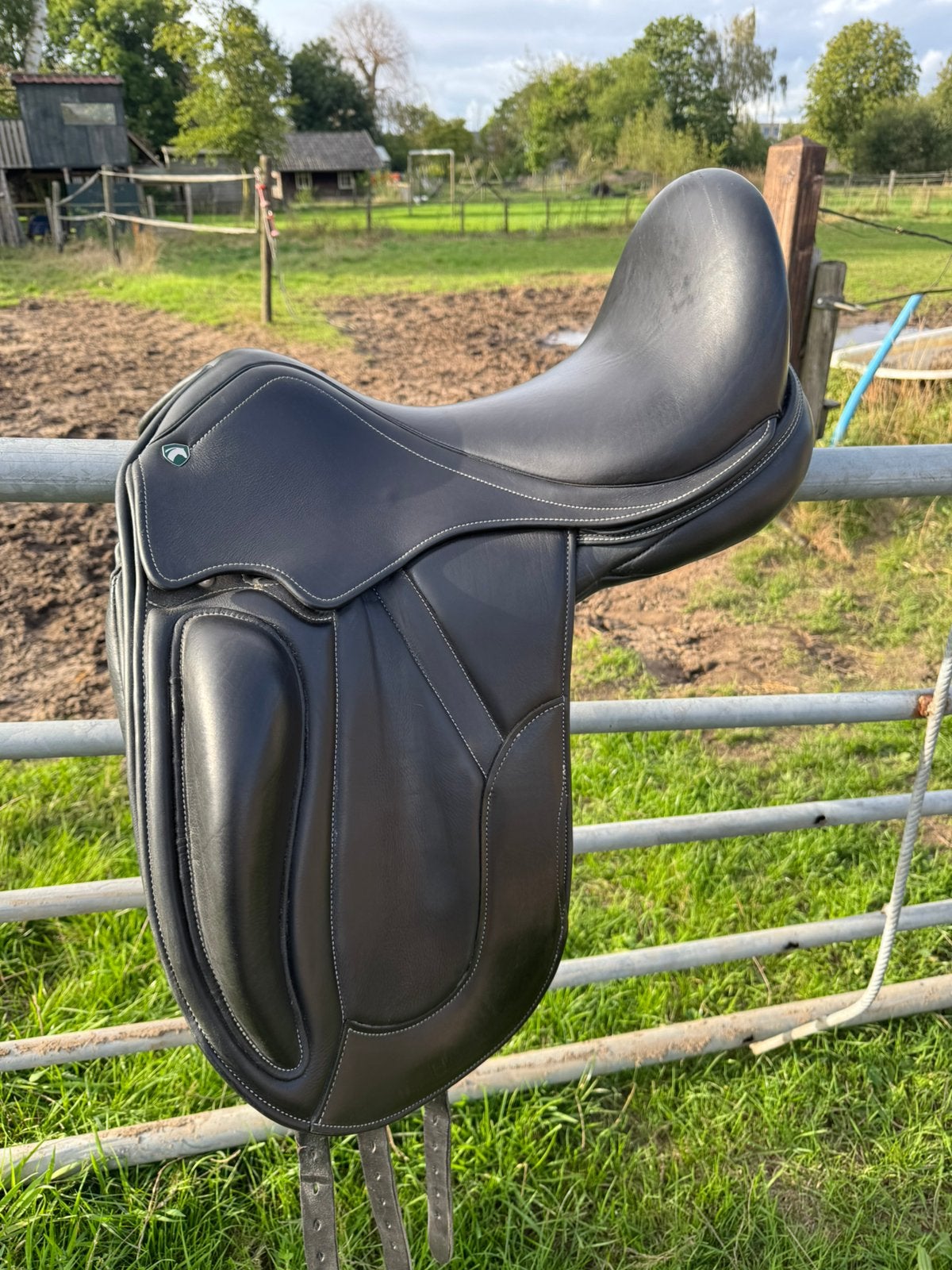 Graziozo dressuurzadel, Dieren en Toebehoren, Ophalen, Zo goed als nieuw, Dressuur