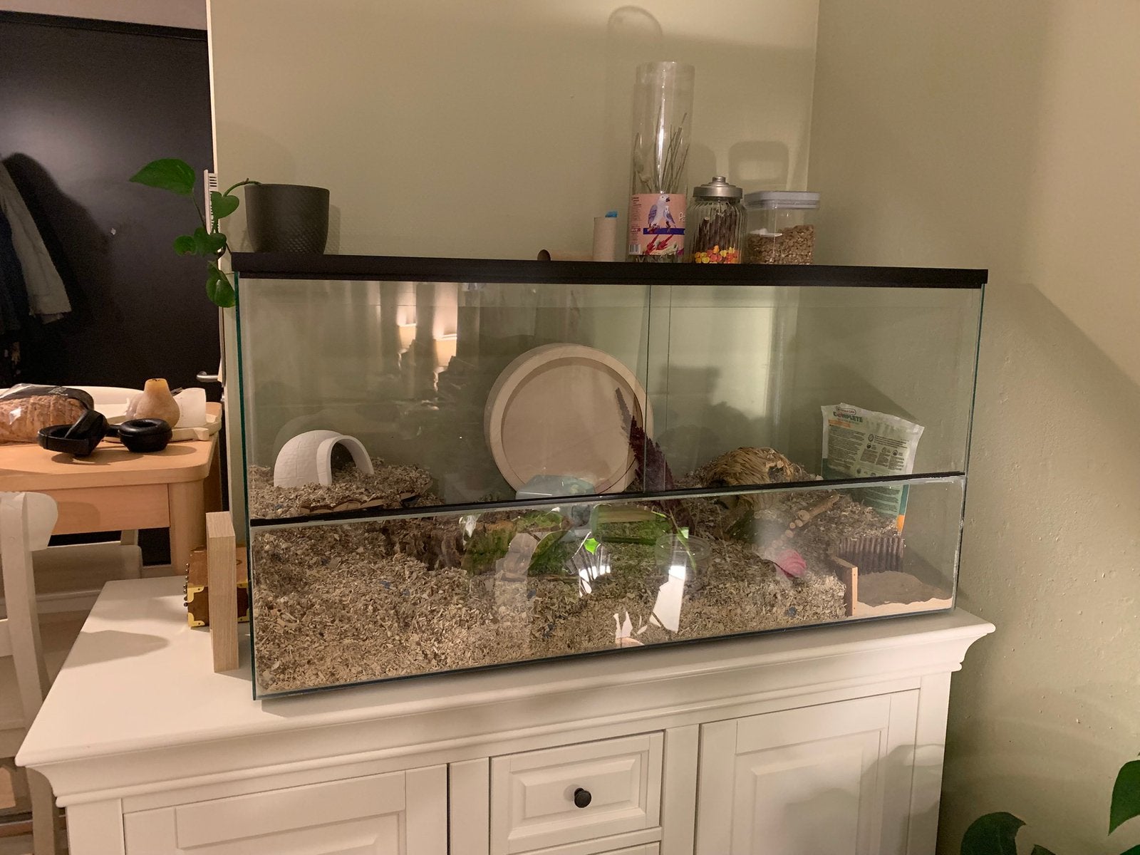 Glazen hamsterkooi - 100x50x50, Dieren en Toebehoren, Kooi, Gebruikt, Hamster, 75 tot 110 cm
