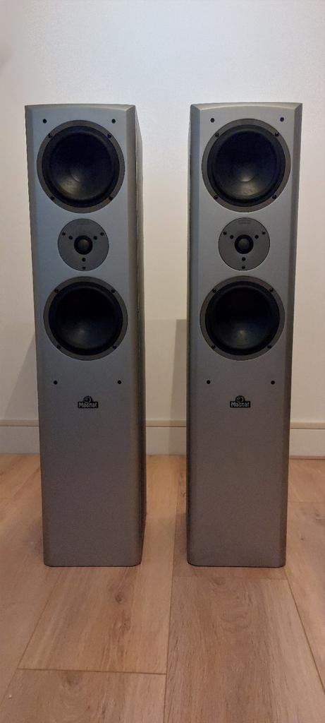 Magnat Vector 55 Luidsprekers - Set van 2, Gebruikt, Magnat, Ophalen of Verzenden, 120 watt of meer