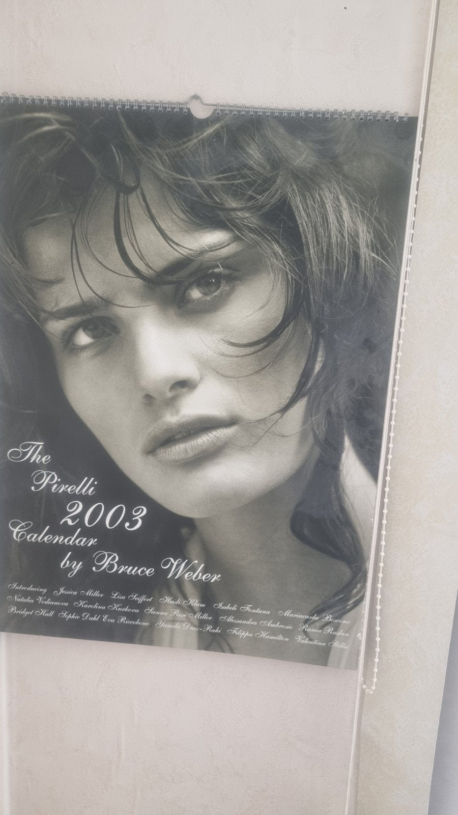 Pirelli kalender 2003, Ophalen