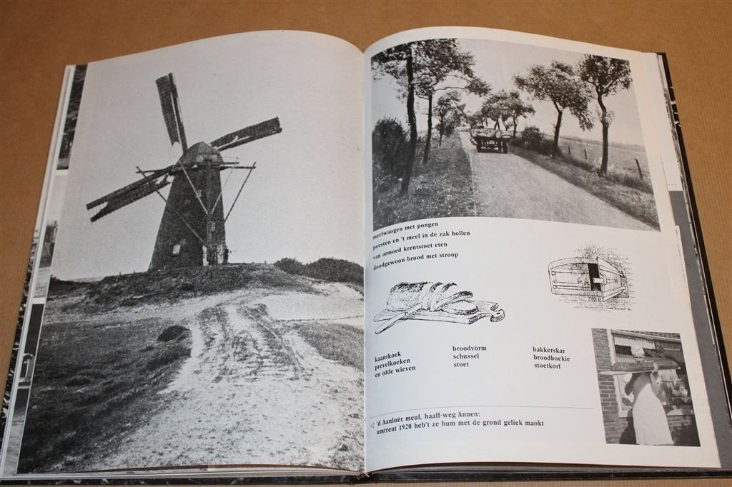 Anloo in het Landschap Drenthe — Historie van een Brinkdorp, Ophalen of Verzenden, Gelezen