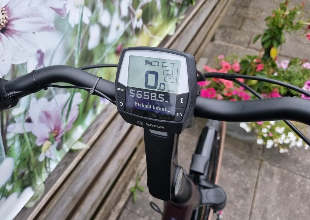 pegasus siena E7f 5.0 50 cm bosch plus 500 wh, 56 cm of meer, Zo goed als nieuw, Meer dan 20 versnellingen, Ophalen