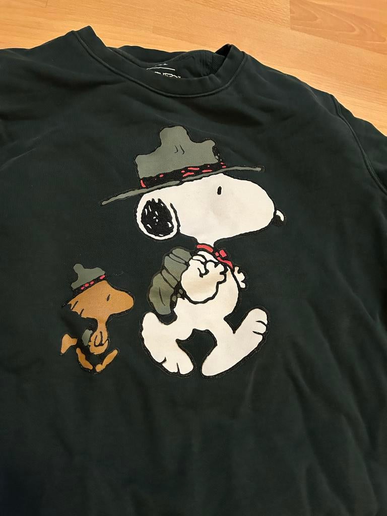 Zara Snoopy trui - donkergroen - maat S, Ophalen of Verzenden, Zo goed als nieuw, Maat 46 (S) of kleiner, Groen