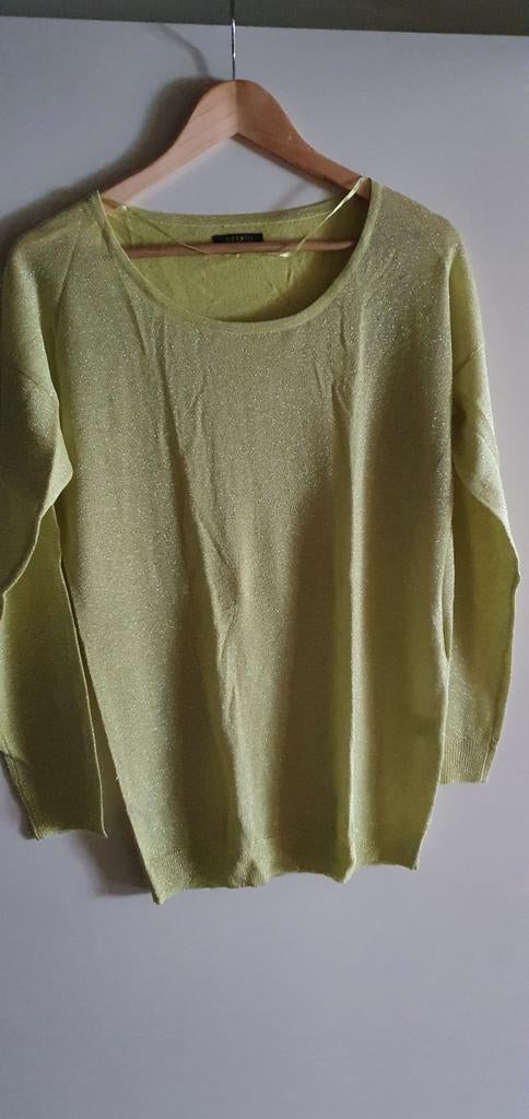 NED LIME KLEUR FIJN GEBREIDE TRUI MET ZILVERDRAAD MAAT M, Kleding | Dames, Truien en Vesten, Maat 38/40 (M), Geel, Nieuw, Ophalen of Verzenden
