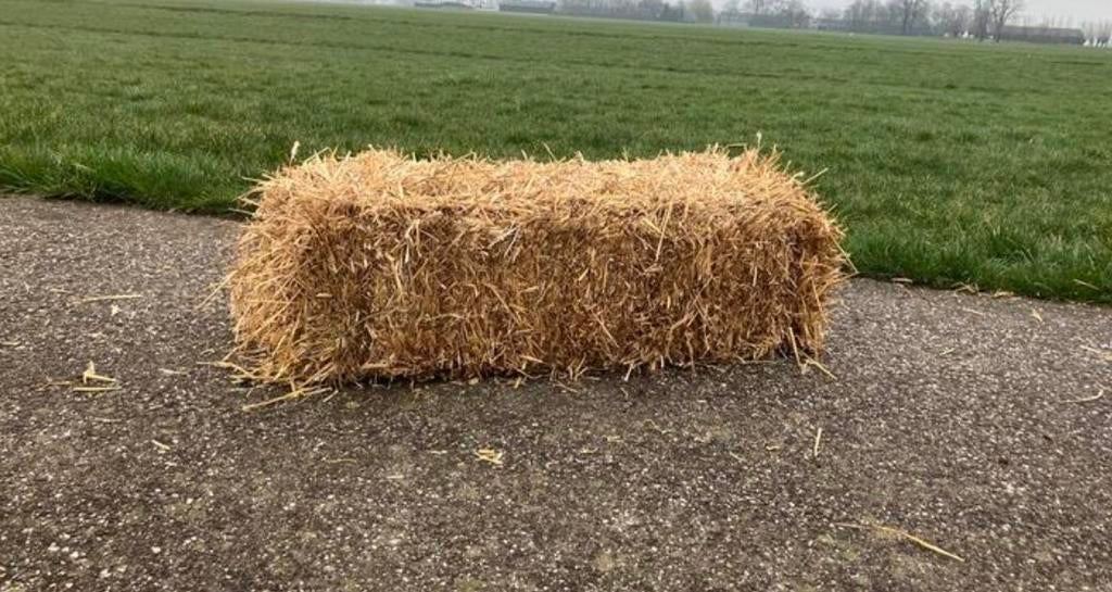 Stro, Meerdere dieren, Schaap