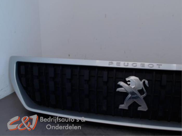 Grille van een Peugeot Expert (NVT), Gebruikt, -, -, Ophalen of Verzenden