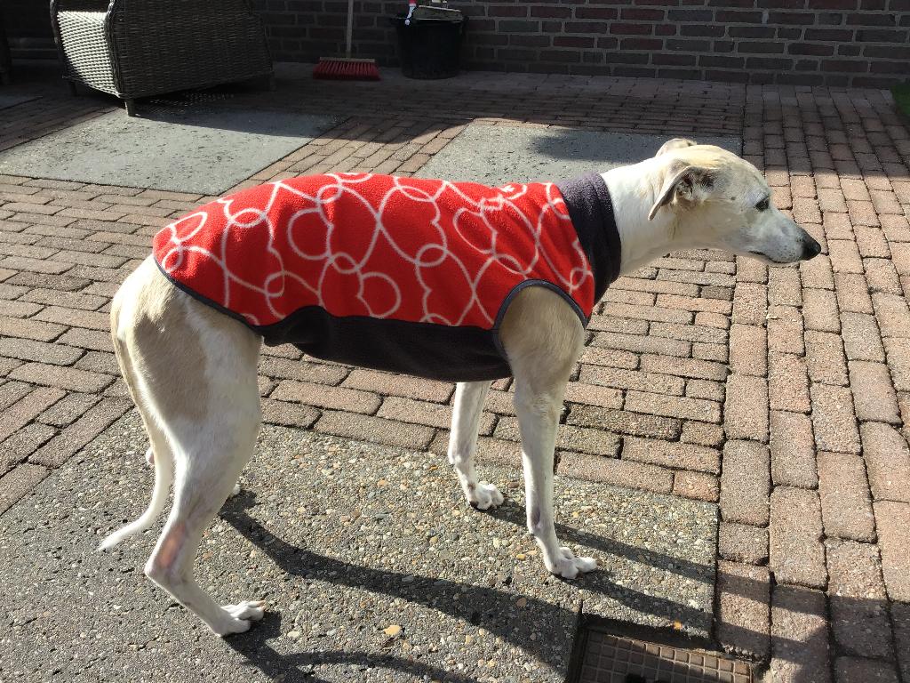 Hondenjasjes fleece bodys Whippet, Dieren en Toebehoren, Ophalen of Verzenden, Zo goed als nieuw, Hondenbodywarmer