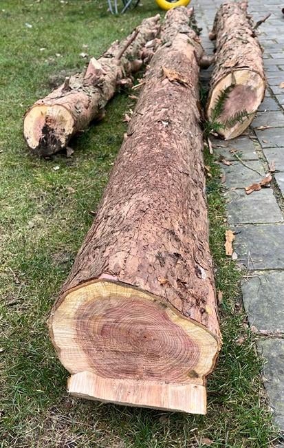 Taxushout, draaihout. 0,75 EUR/kg, Doe-het-zelf en Verbouw, Hout en Planken, Ophalen, Overige typen, Nieuw, 200 tot 250 cm