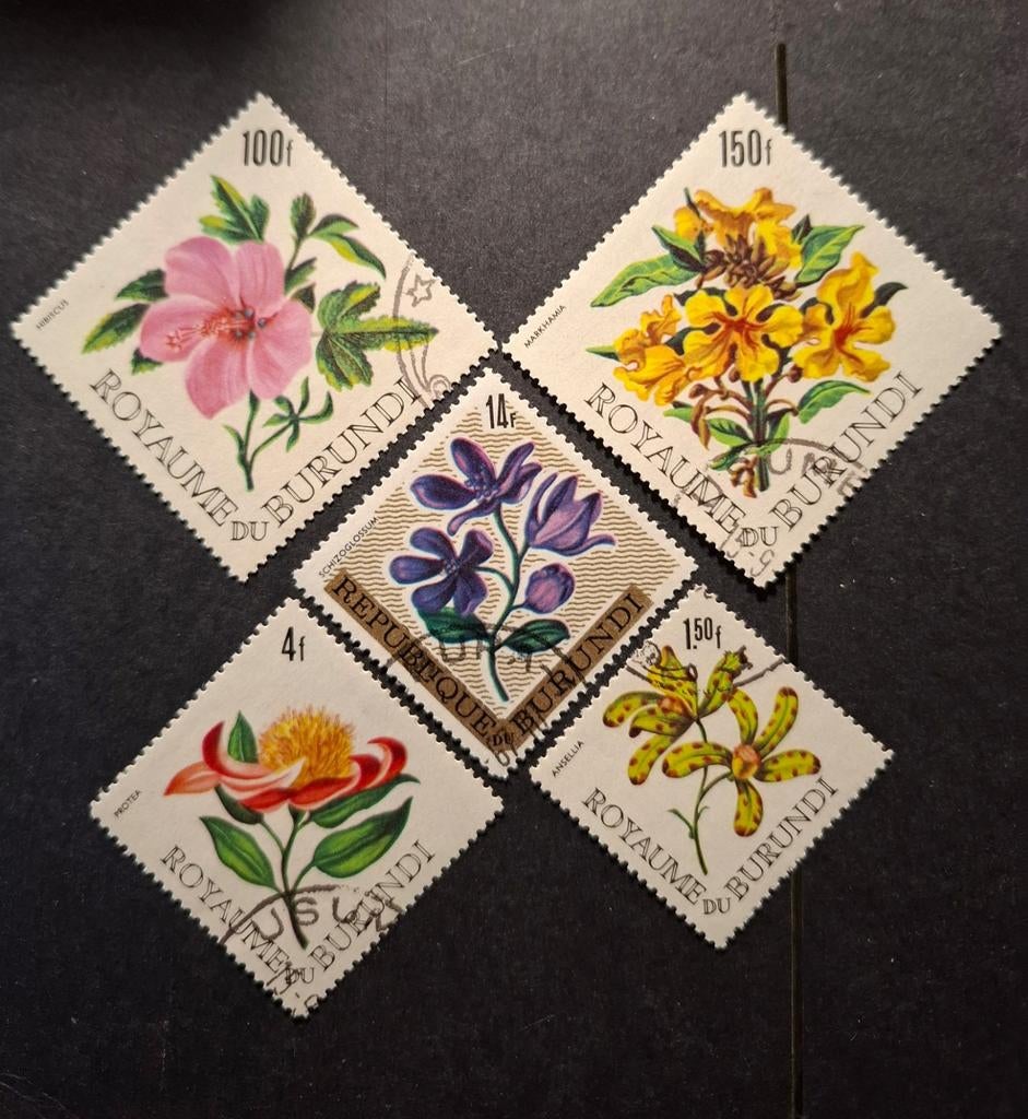 Burundi bloemen, Ophalen of Verzenden, Dier of Natuur