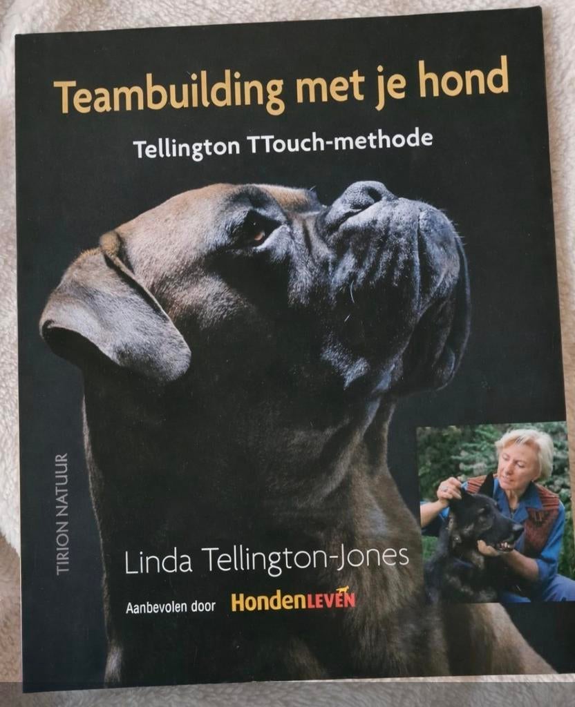 Teambuilding met je hond - Linda Tellington Jones, Boeken, Honden, G. Braun; L. Tellington-Jones, Ophalen of Verzenden, Zo goed als nieuw
