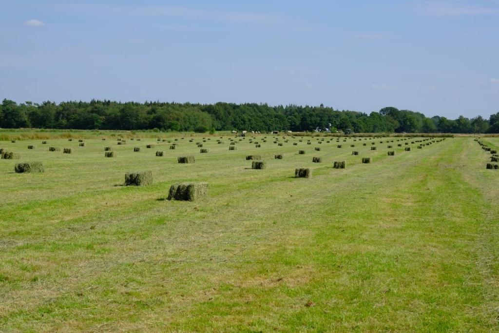 Hooi pakjes biologisch, Zakelijke goederen, Ophalen