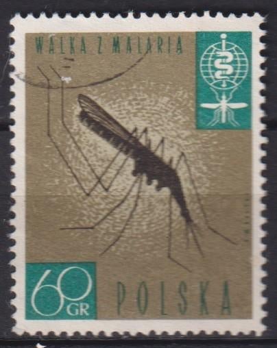 Polen 1962 Bestrijding Malaria mug, Verzenden, Gestempeld, Dier of Natuur