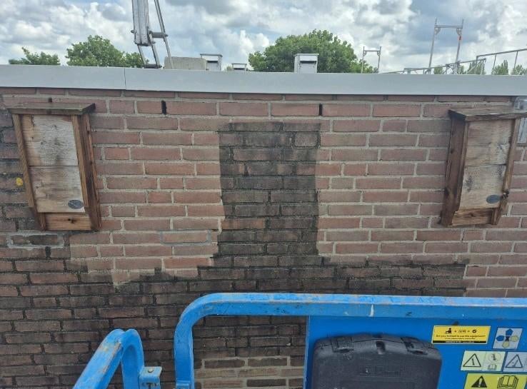 Hogedruk reiniger/schoonmaak tuin/gevel/erven/straten
