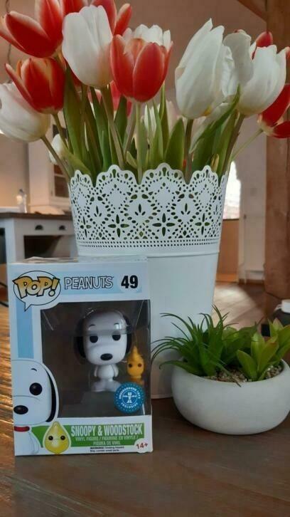 Funko Pop: Peanuts, 49 Snoopy & Woodstock flocked, exclusive, Ophalen of Verzenden