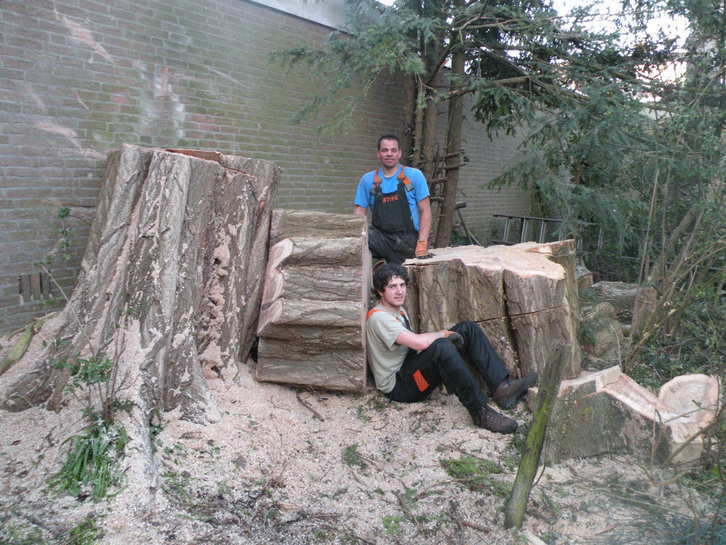 Boomwerk Bilthoven B.V., Garantie, Tuinonderhoud of Snoeiwerk