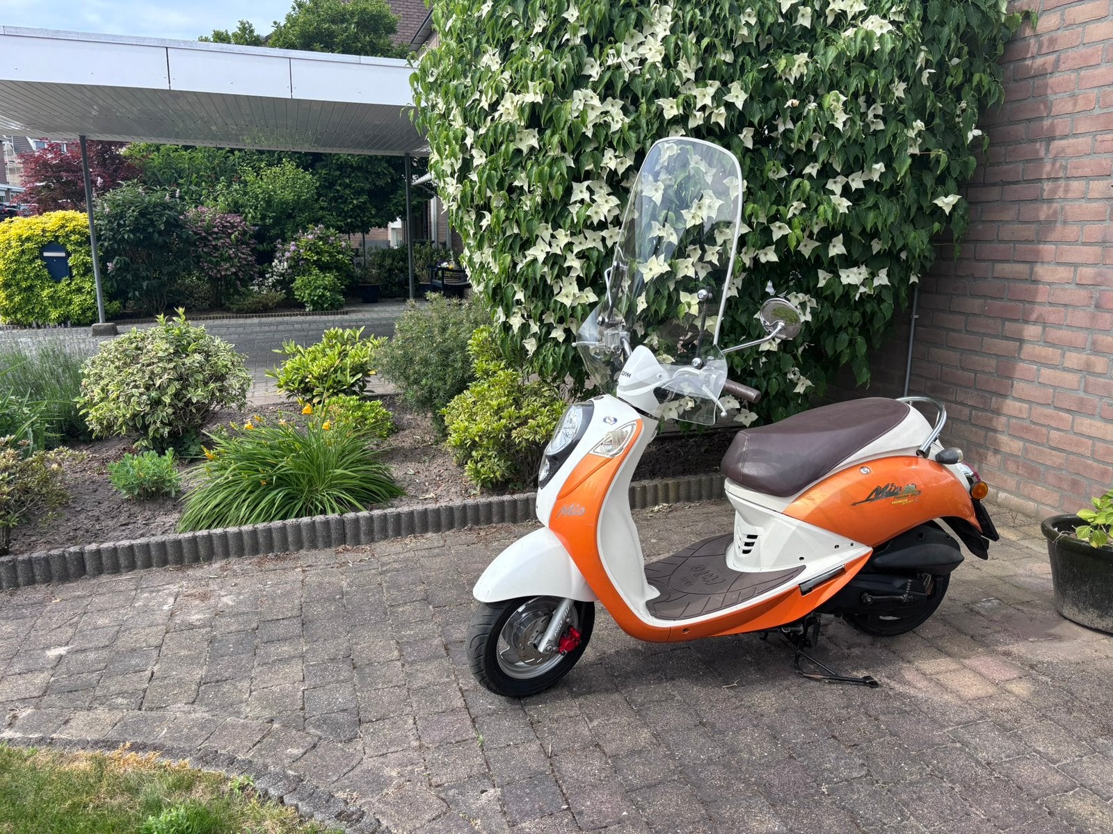 Sym mio snorscooter 2007, Gebruikt, Benzine, 50 cc, Maximaal 25 km/u
