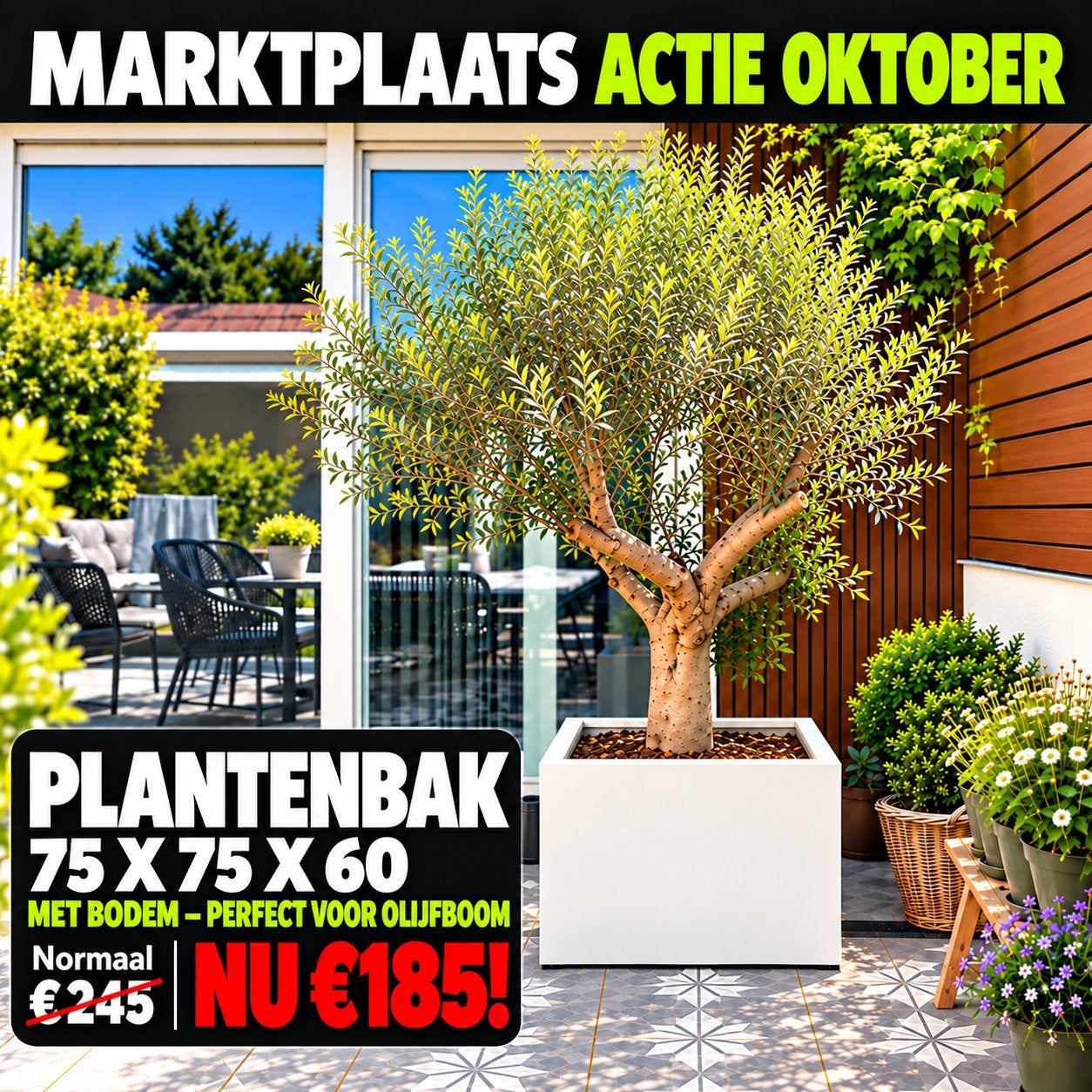 Actie Plantenbak 75 x75x60 cm, Tuin en Terras, Info@plantenbakkenvanstaal.nl, Vierkant, Nieuw, Ophalen of Verzenden